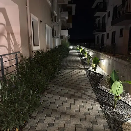 Olive Fethiye